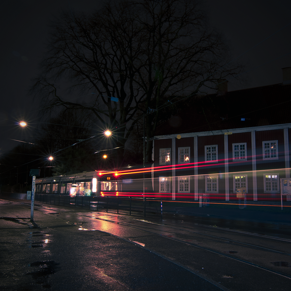 VAGN_SQ